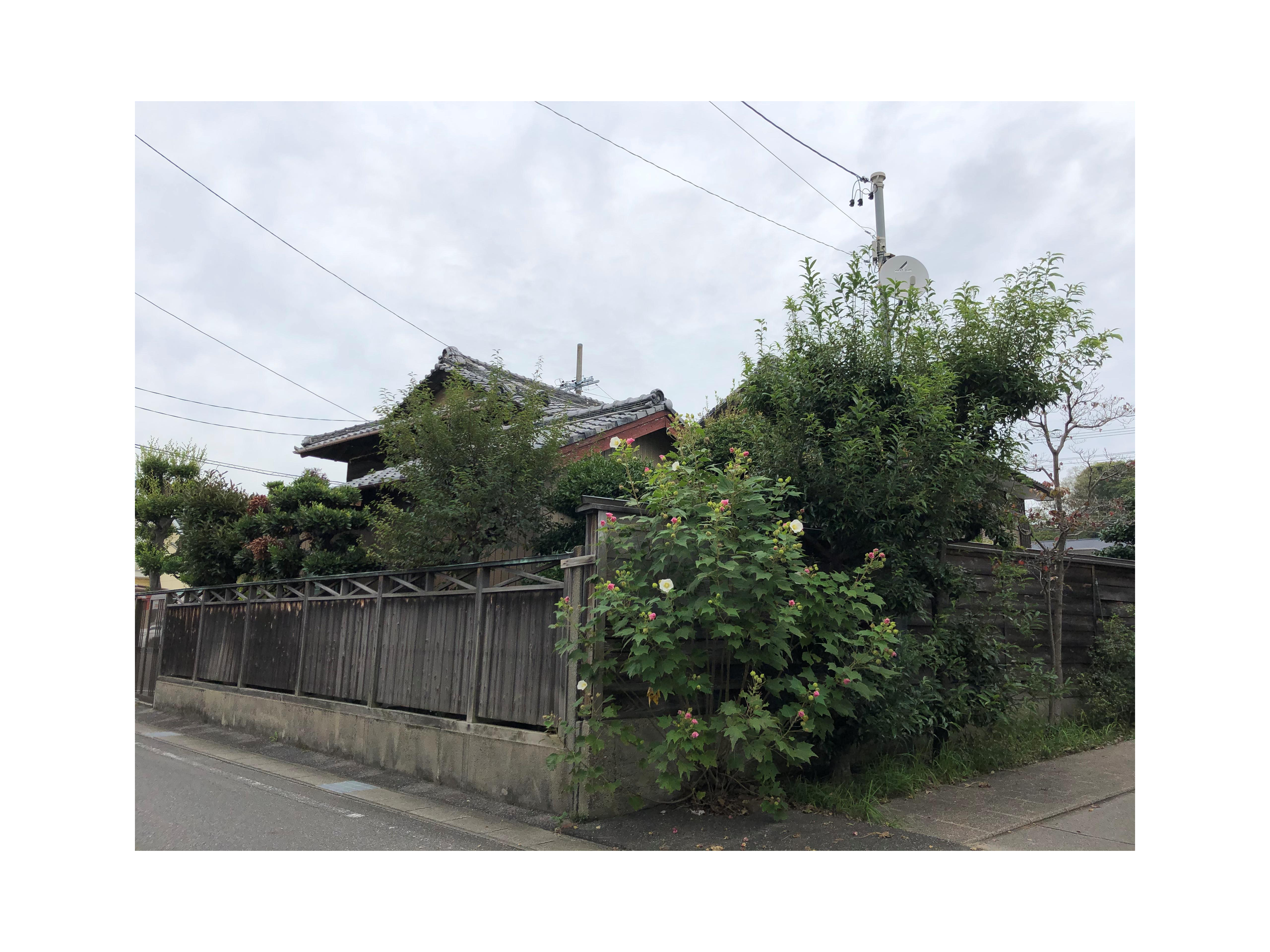 二四六天天彩 246 天空彩
